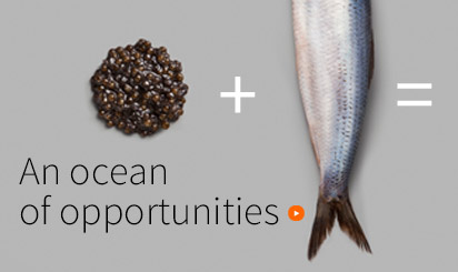 an-ocean-of-opportunities