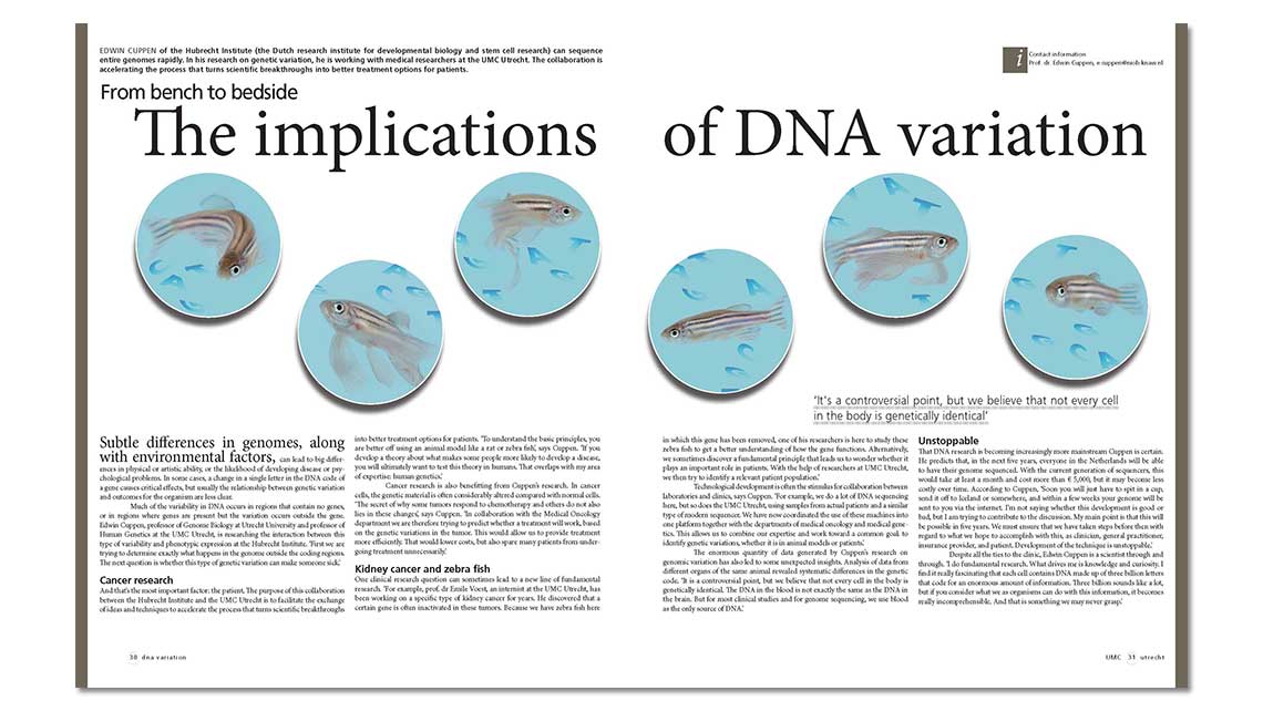 article: DNA