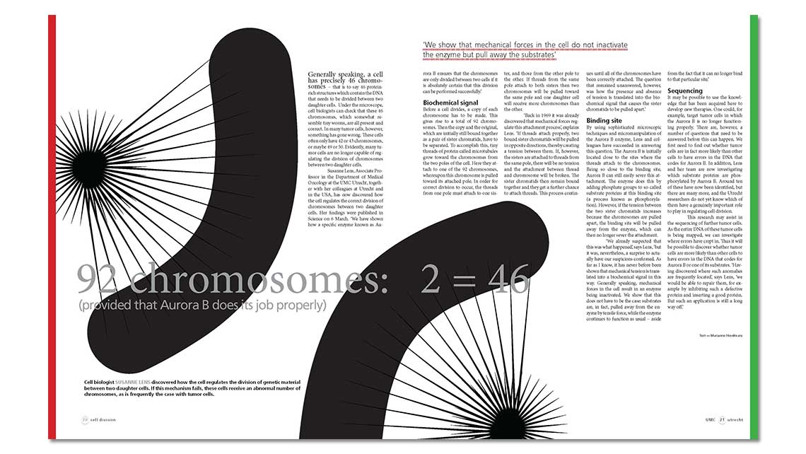 article: chromosomes