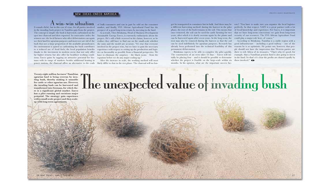 issue 4: article invading bush project