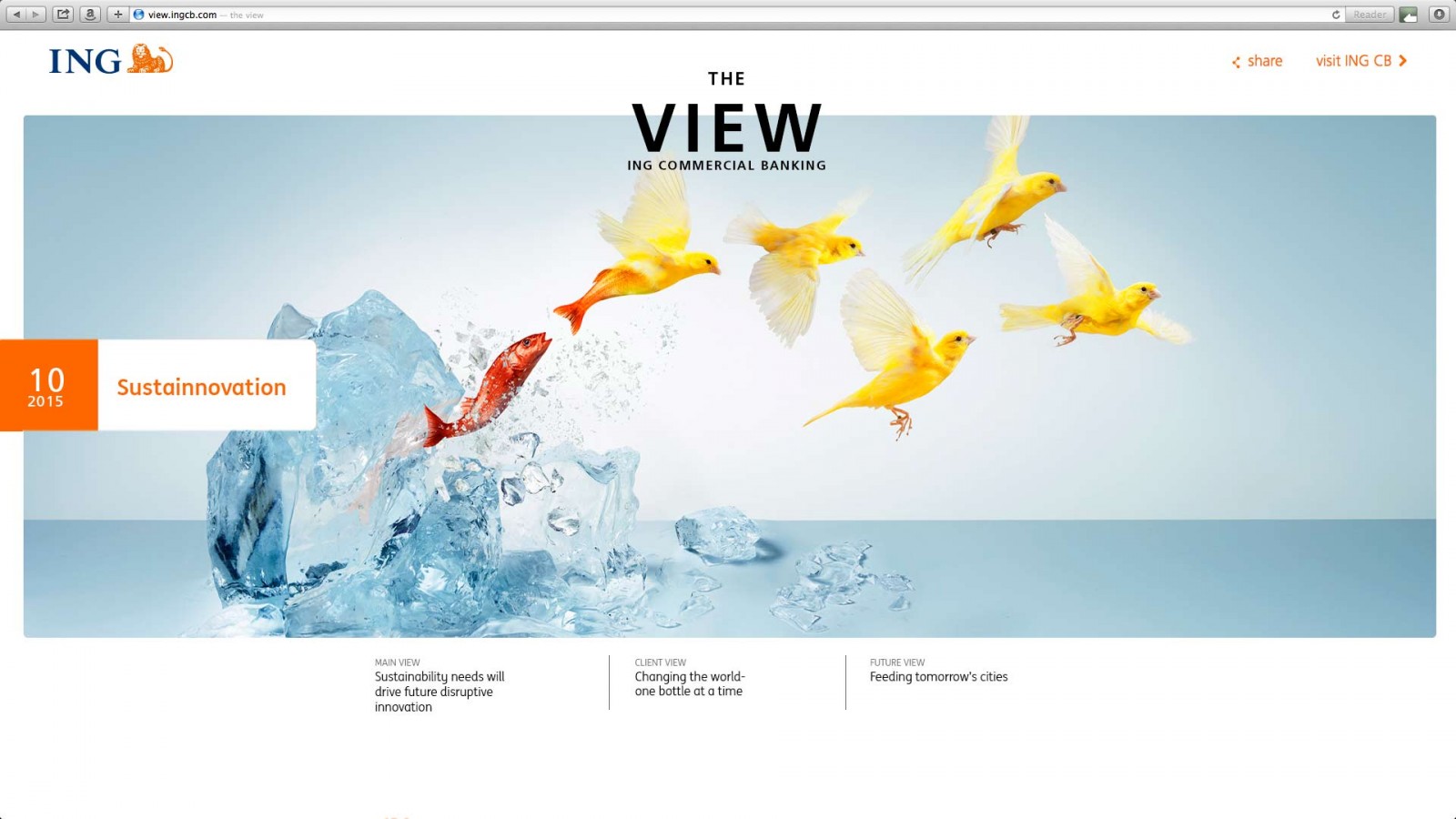 ING the View issue 4